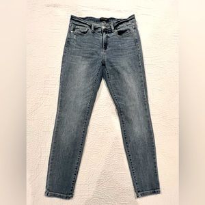 Judy blue skinny jeans